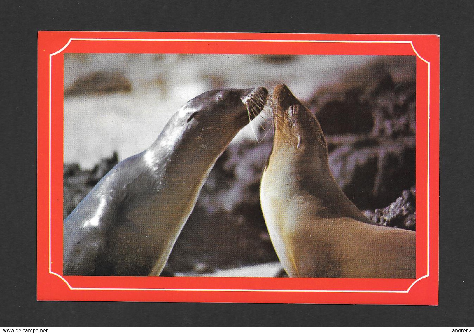 ANIMALS - ANIMAUX - GALAPAGOS ECUADOR SUD AMERICA - RARE SPECIES OF SEA SEALS - WONDERFUL STAMP - Autres & Non Classés