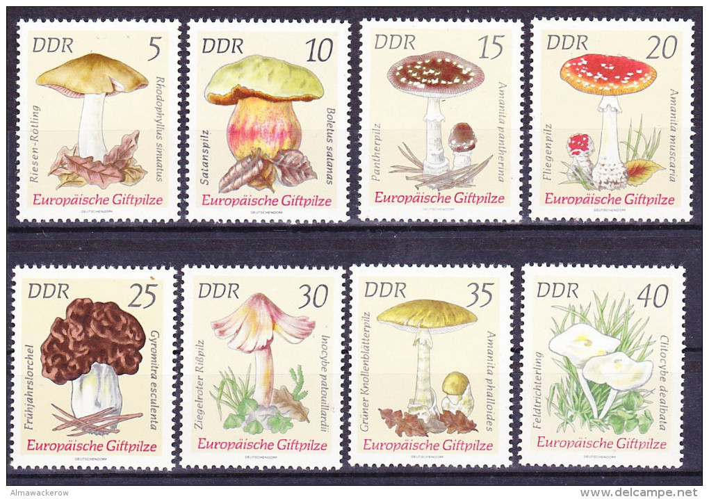 2016-0431 GDR Complete Set European Poisonous Muchrooms Mi 1933-40 MNH ** - Pilze