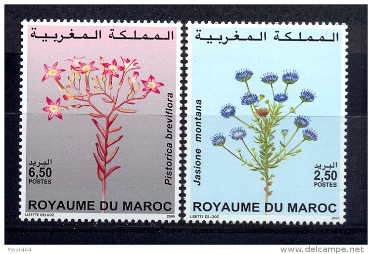 Morocco/Maroc 2000  - Stamps - Flowers - Maroc (1956-...)