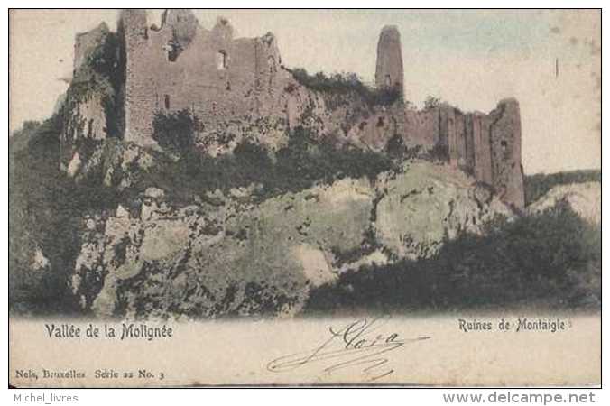 Onhaye - Falaën - Vallée De La Molignée - Ruines De Montaigle - Circulé - Dos Non Séparé - TBE - Onhaye