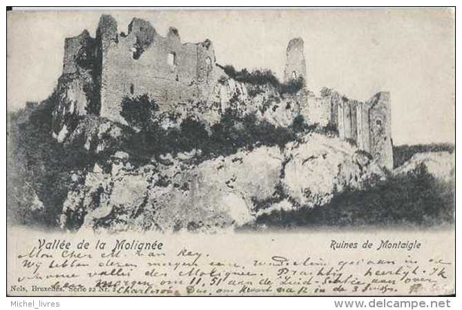 Onhaye - Falaën - Vallée De La Molignée - Ruines De Montaigle - Circulé En 1902 - NB - Dos Non Séparé - TBE - Onhaye