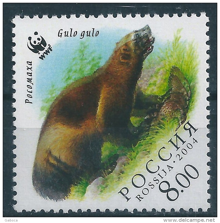 9978 Russia Fauna Animal Mammal Wolverine WWF MNH ERROR - Nager