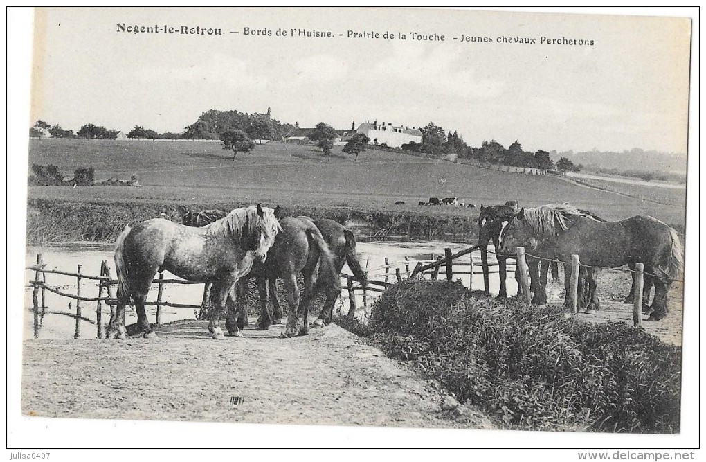 NOGENT LE ROTROU (28) Prairie De La Touche élevage Jeunes Chevaux Percherons - Nogent Le Rotrou