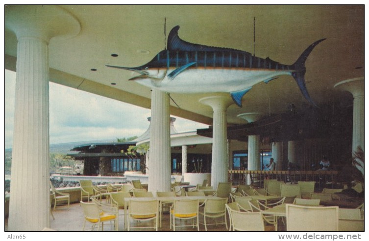 Kailua-Kona Big Island Hawaii, Kona Hilton Hotel, Marlin Fish In Lobby Interior View, C1950s Vintage Postcard - Big Island Of Hawaii