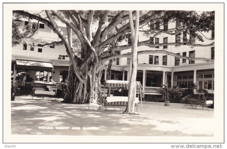 Hilo Big Island Hawaii, Moana Court And Banyan Tree, C1930s/40s Vintage Real Photo Postcard - Hilo