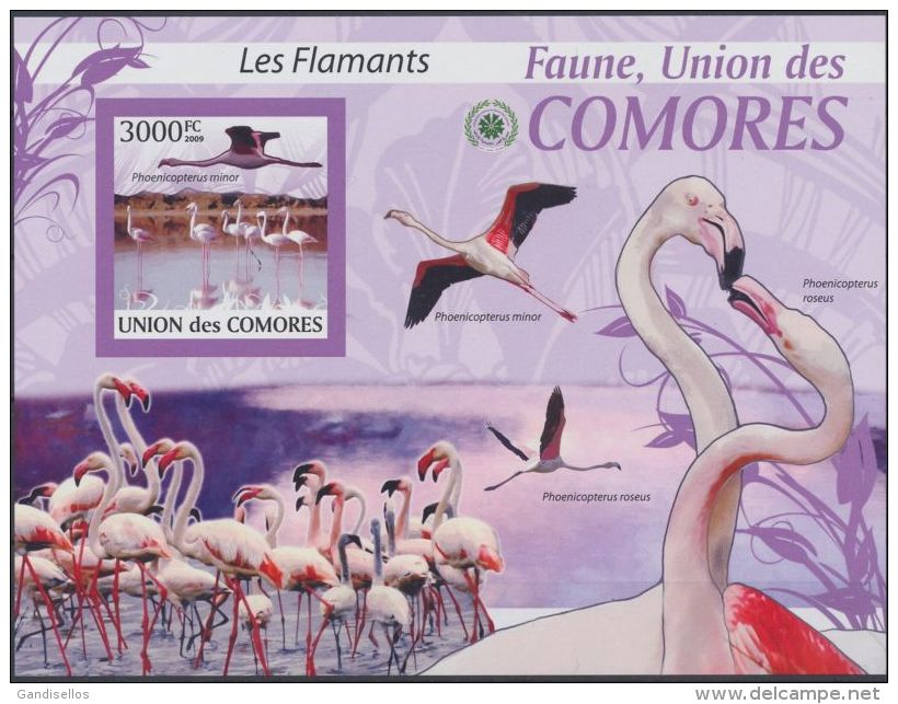 COMORES SHEET IMPERF LES FLAMANTS THE FLAMINGOS BIRDS - Flamingo