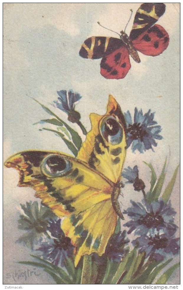 Sofia Chiostri - Butterfly Postcard - Chiostri, Carlo