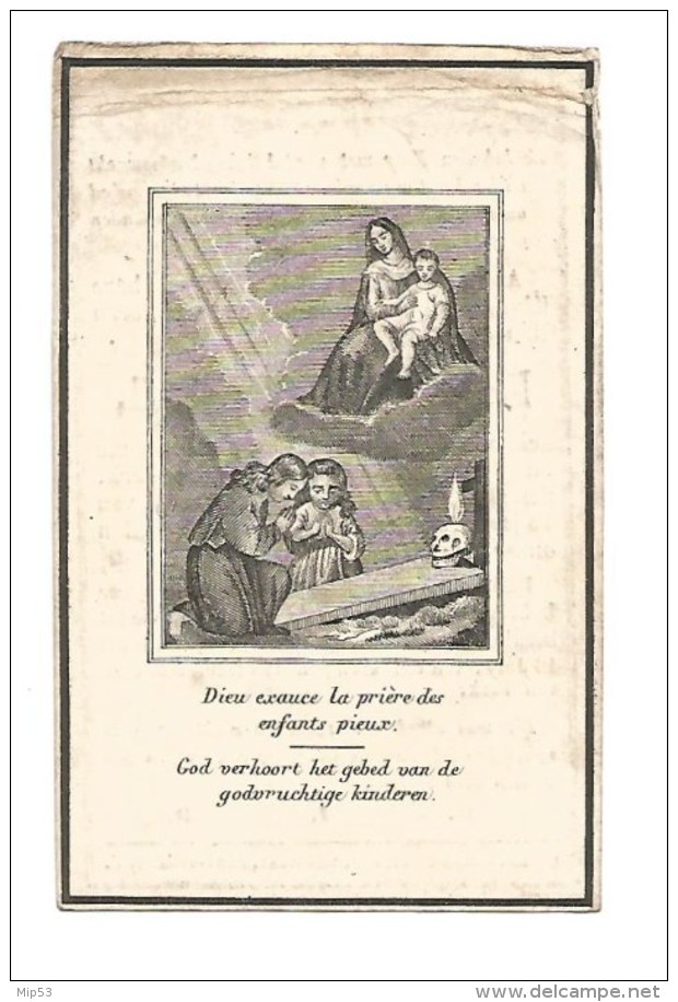 142. PETRUS DU CHATEAU  -  °HAELEN (DIEST)  /  +  PERK  1853  (75j.) - Images Religieuses