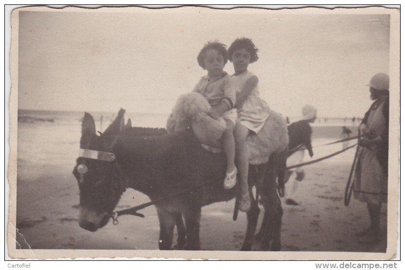 HEIST-FOTOKAART-EZELTJE-RIJDEN-OP HET STRAND-VERZONDEN IN 1931-VERVIERS-ZIE 2 SCANS-TOP ! - Heist