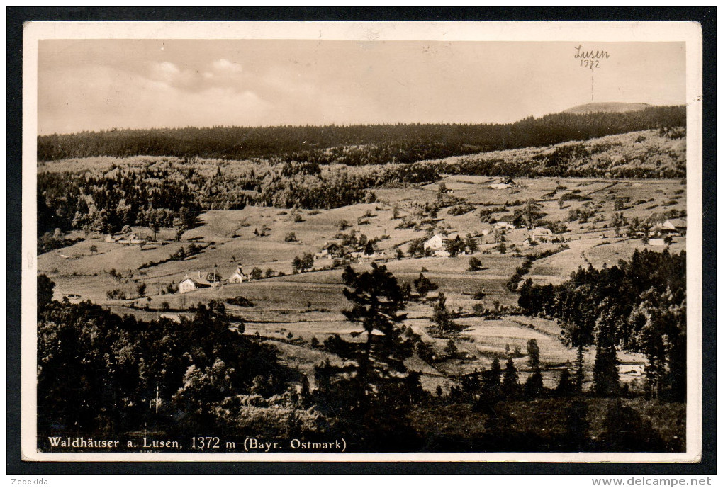 6752 - Alte Foto Ansichtskarte - Waldhäuser Neuschönau - Am Lusen - Gel - Fischer - Freyung