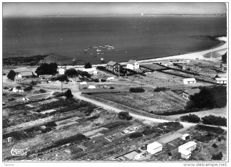 La-Plaine-sur-Mer. La Tara. - La-Plaine-sur-Mer