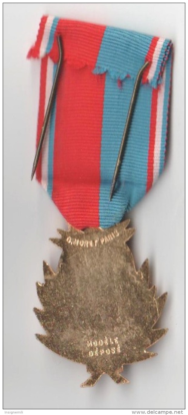 MEDAILLE VETERAN CONFEDERATION MUSICALE DE FRANCE, émail  - Graveur G MORET PARIS Modèle Déposé - Sonstige & Ohne Zuordnung