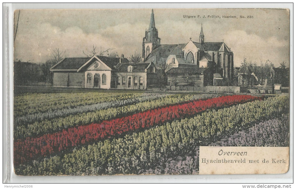 Pays Bas - Noord Holland - Overveen Hyacinthenveld Met De Kerk Fleurs Hyacinthe , Frolich Haarlem 236 - Other & Unclassified