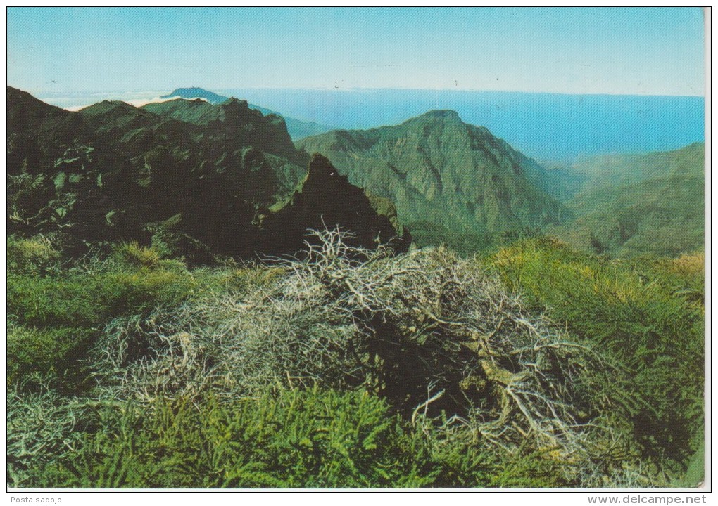 (CANA714) LA PALMA. PARQUE NACIONAL DE LA CALDERA DE TABURIENTE - La Palma