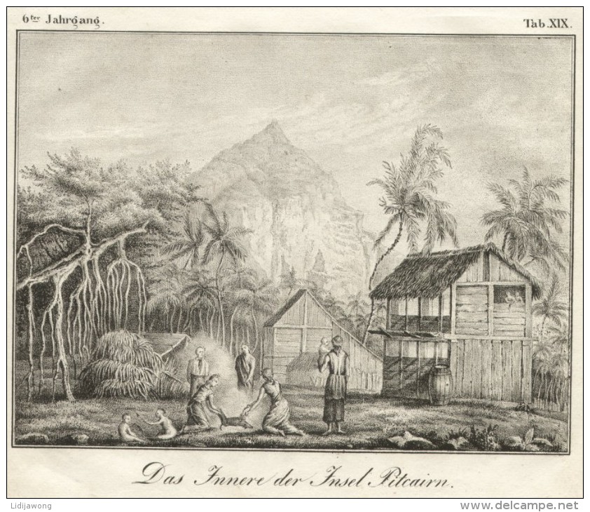 Pitcairn Islands ORIGINAL ENGRAVING ETCHING 1833 Karlsruher Unterhaltungs-Blatt - Grande Formato