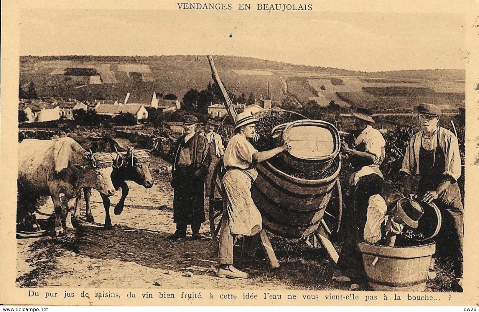 Vendanges En Beaujolais, Du Pur Jus De Raisin, Du Vin Bien Fruité - La Feuillette - Edition Combier - Vigne