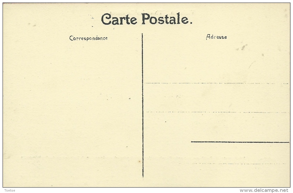 Vielsalm - Thier Des Carrières / Ardoisière... Historique   ( Voir Verso ) - Vielsalm