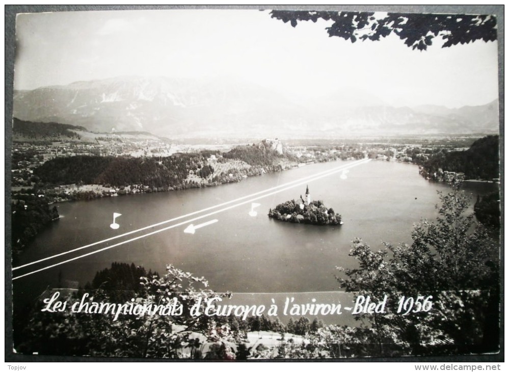 SLOVENIA - EUROPE CHAMPION. ROWING In BLED - OFFICE Card + POSTMARK - 1956 - DAR - Rowing