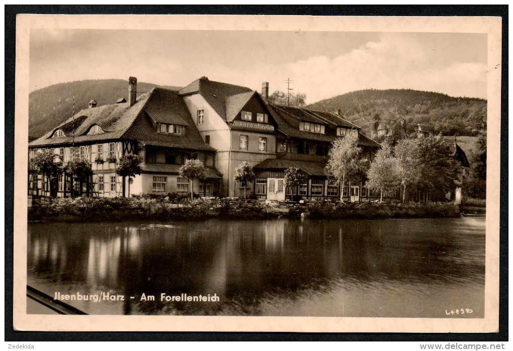 6564 - Alte Foto Ansichtskarte - Ilsenburg - Am Forellenteich - Gaststätte - Willi Koch - Gel 1965 - Ilsenburg