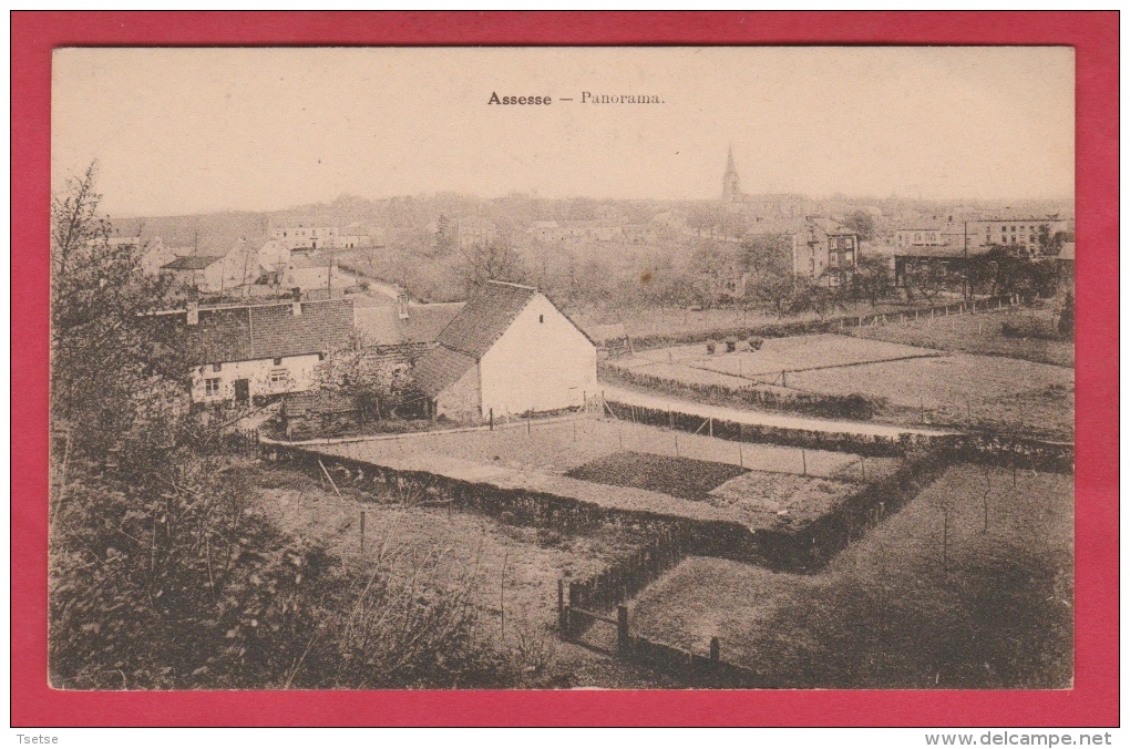 Assesse - Panorama ... De La Commune ( Voir Verso ) - Assesse