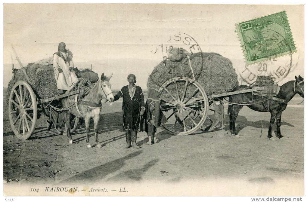 TUNISIE(KAIROUAN) ARABATS(ANE) - Tunesië