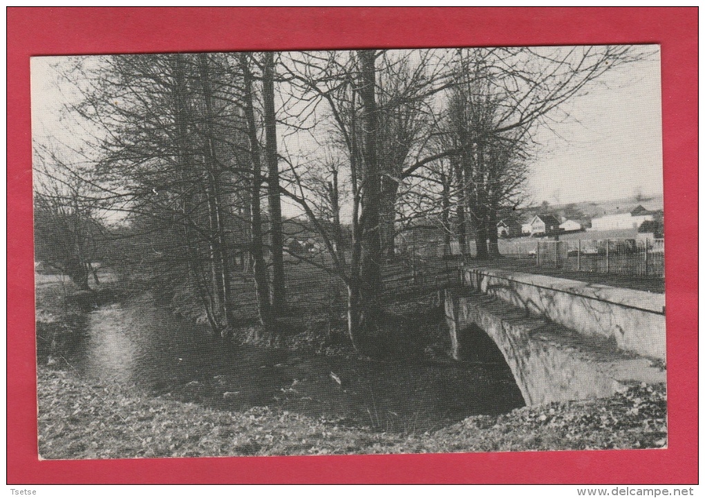 Presles - La Biesme Aux Près Burniaux  ( Voir Verso ) - Aiseau-Presles