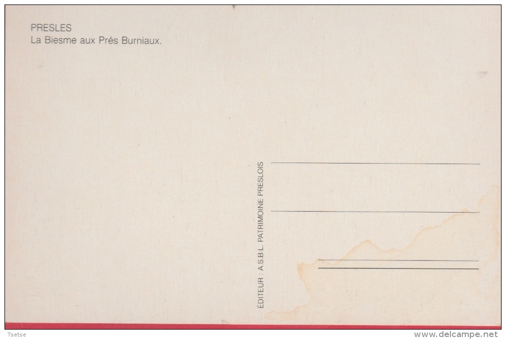 Presles - La Biesme Aux Près Burniaux  ( Voir Verso ) - Aiseau-Presles