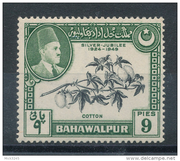 Bahawalpur N°20** Coton - Bahawalpur