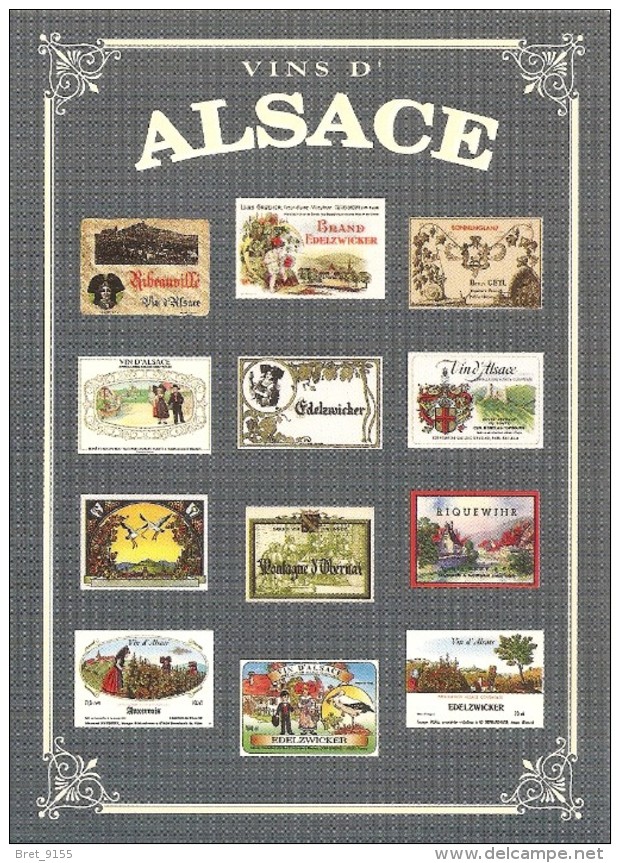 VINS D ALSACE COLLECTION PRIVEE CARTEXPO REPRODUCTION INTERDITE N° 10135 - Reclame