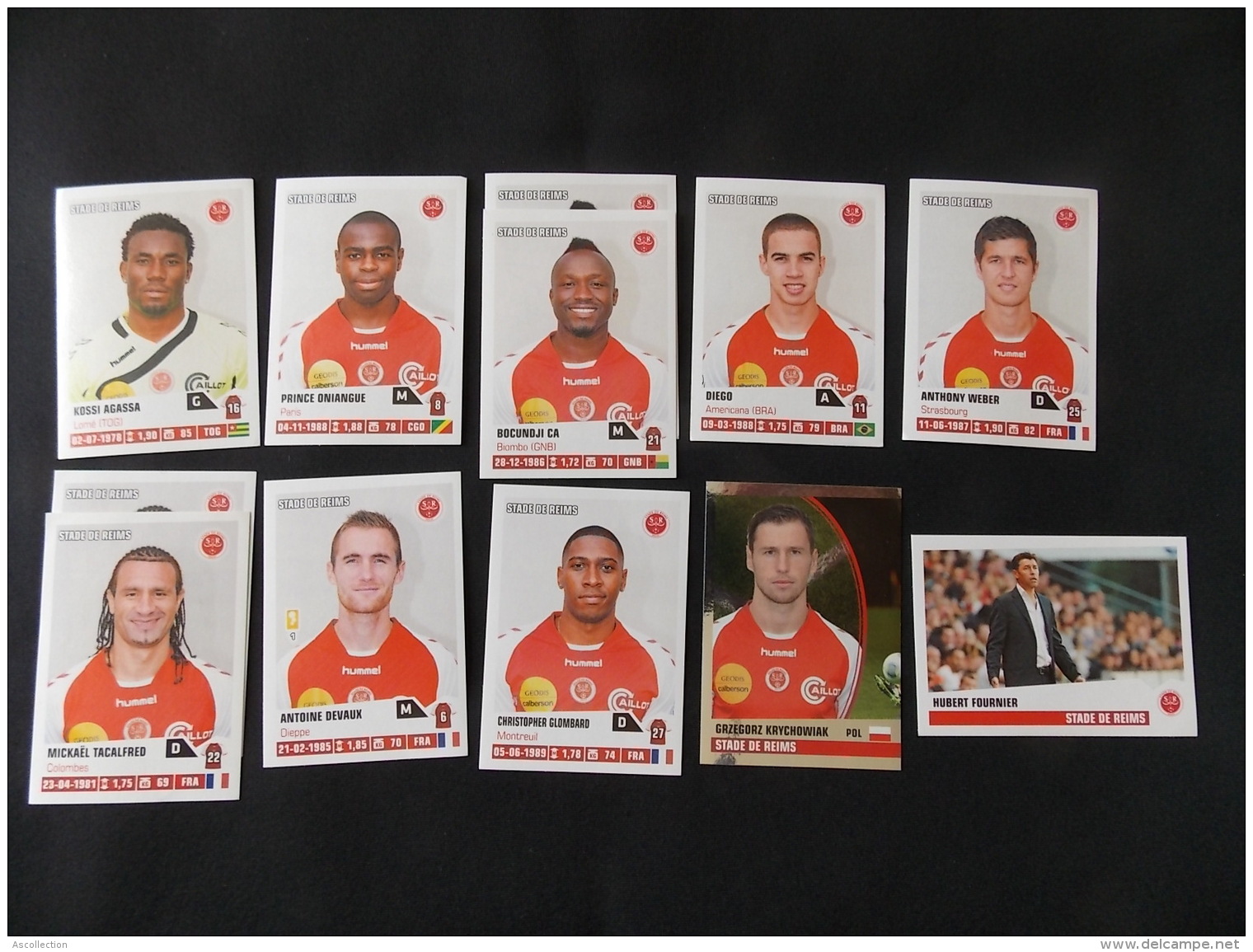 Panini Foot 2013 14 Lot De 12 Stickers Stade De Reims - Edition Française