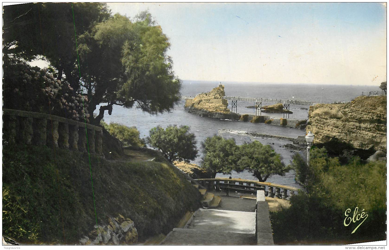 64 BIARRITZ DESCENTE DANS LES TAMARIS AU FOND LE ROCHER DE LA VIERGE - Biarritz