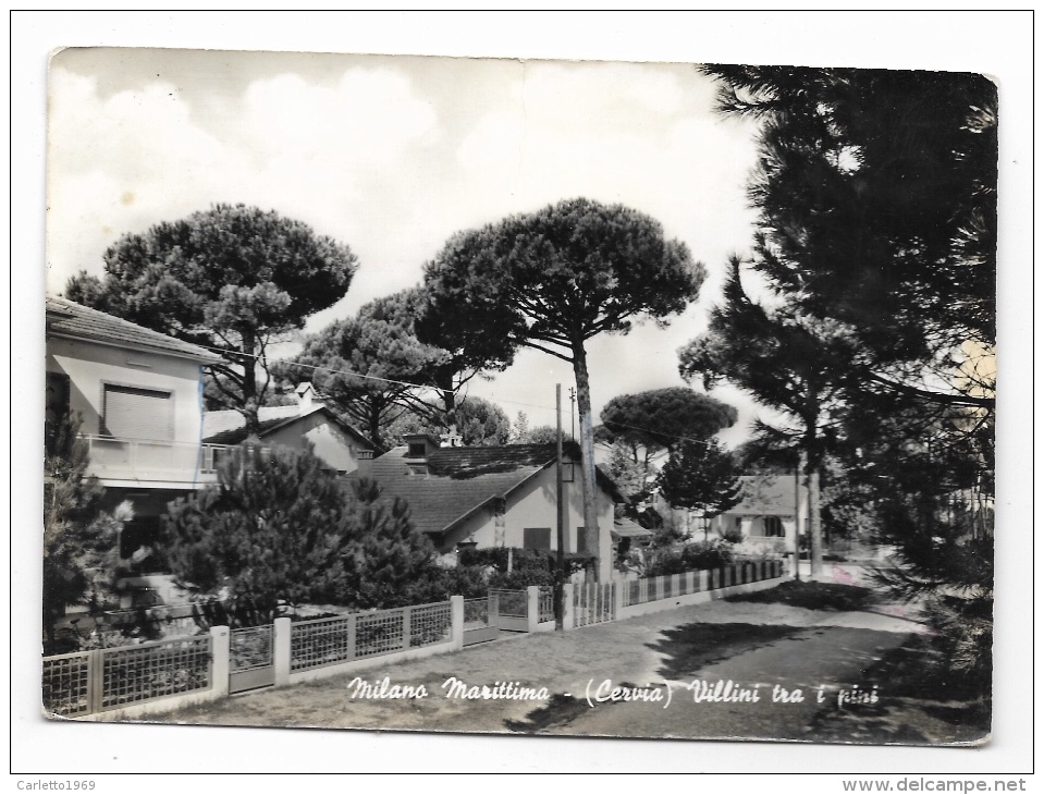 MILANO MARITTIMA VILLINI TRA I PINI VIAGGIATA FG - Ravenna