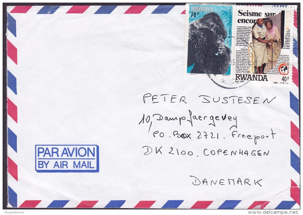 Rwanda 1993 Cover Lettre Denmark Gorilla & Red Cross Rotez Kreut Croix Rouge Cruz Roja Timbres - Otros & Sin Clasificación