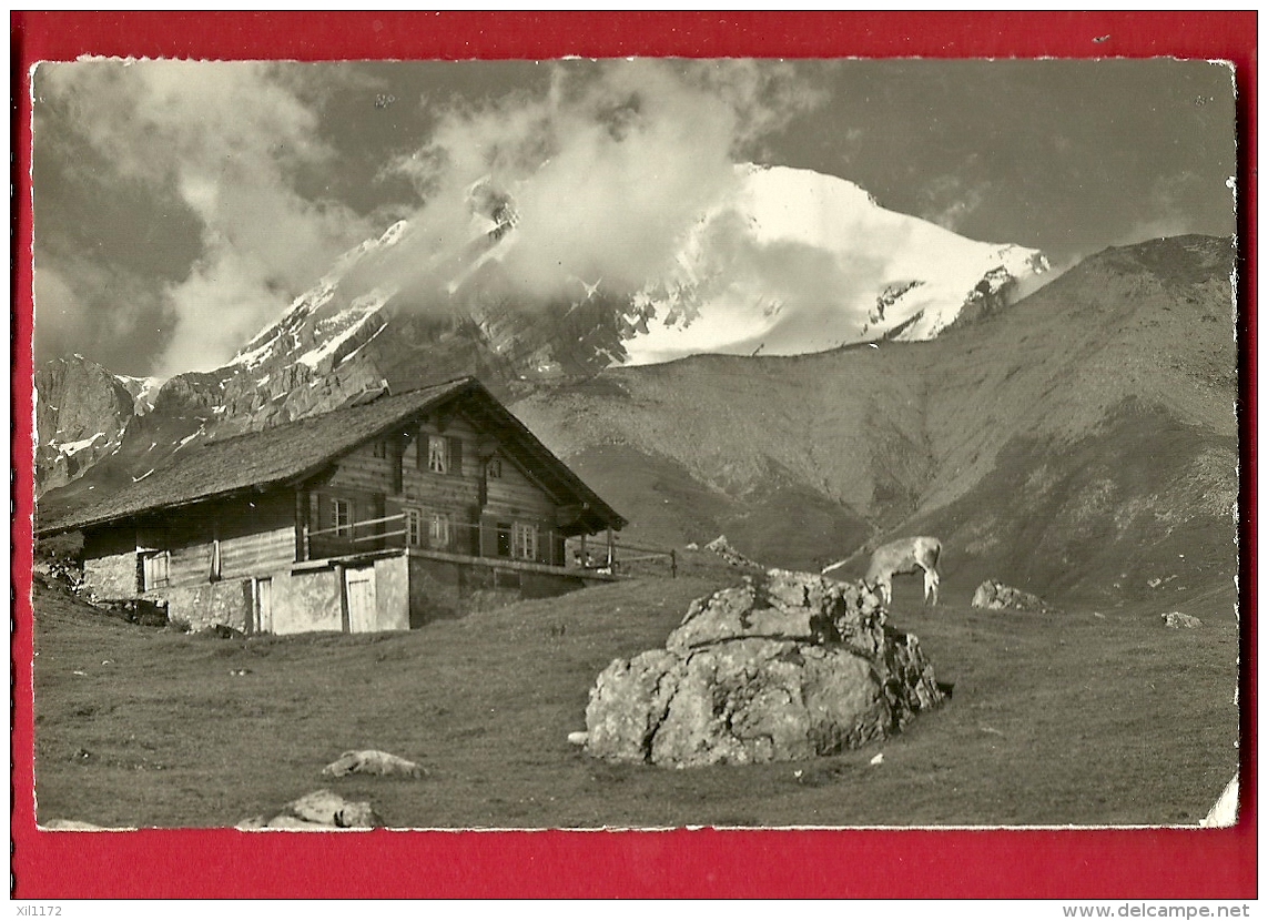 HBM-03 Adelboden. Chalet Wildstrubel, Engstligenalp. Gelaufen In 1950. Gyger 1749 - Adelboden