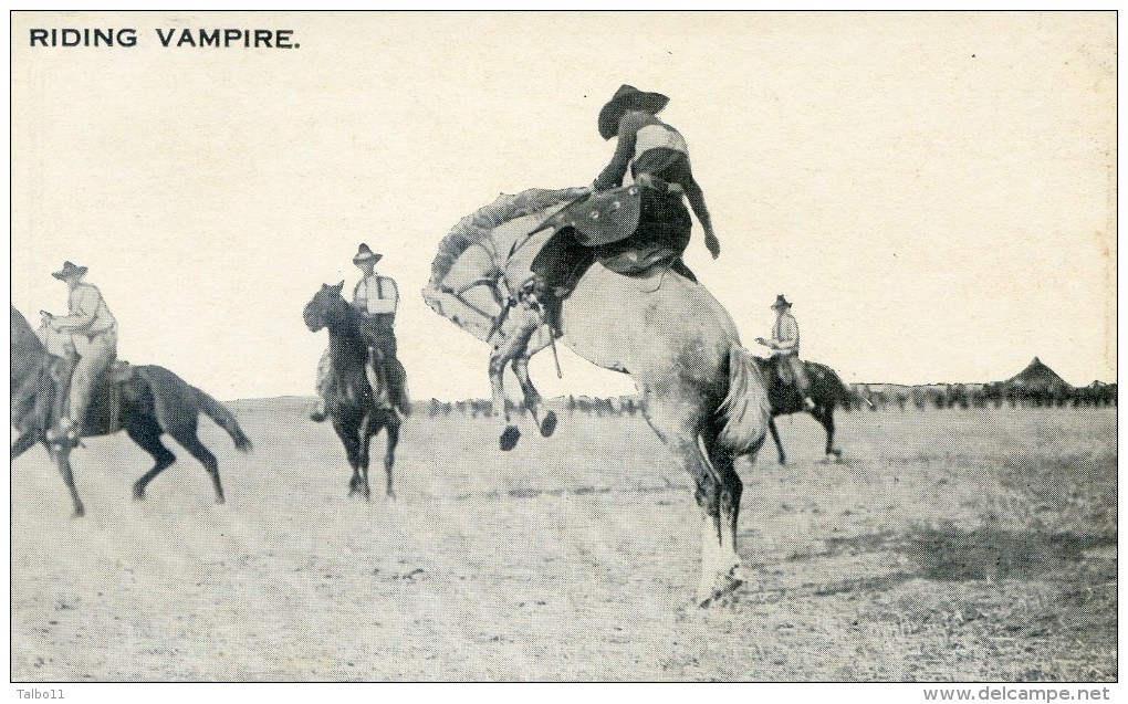 Colorado - Denver - Rodeo - Riding Vampire - Denver