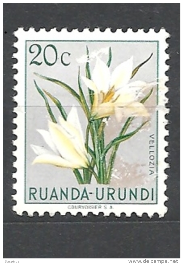 RUANDA URUNDI   1953 Indigenous Flora  *HINGED - Gebruikt