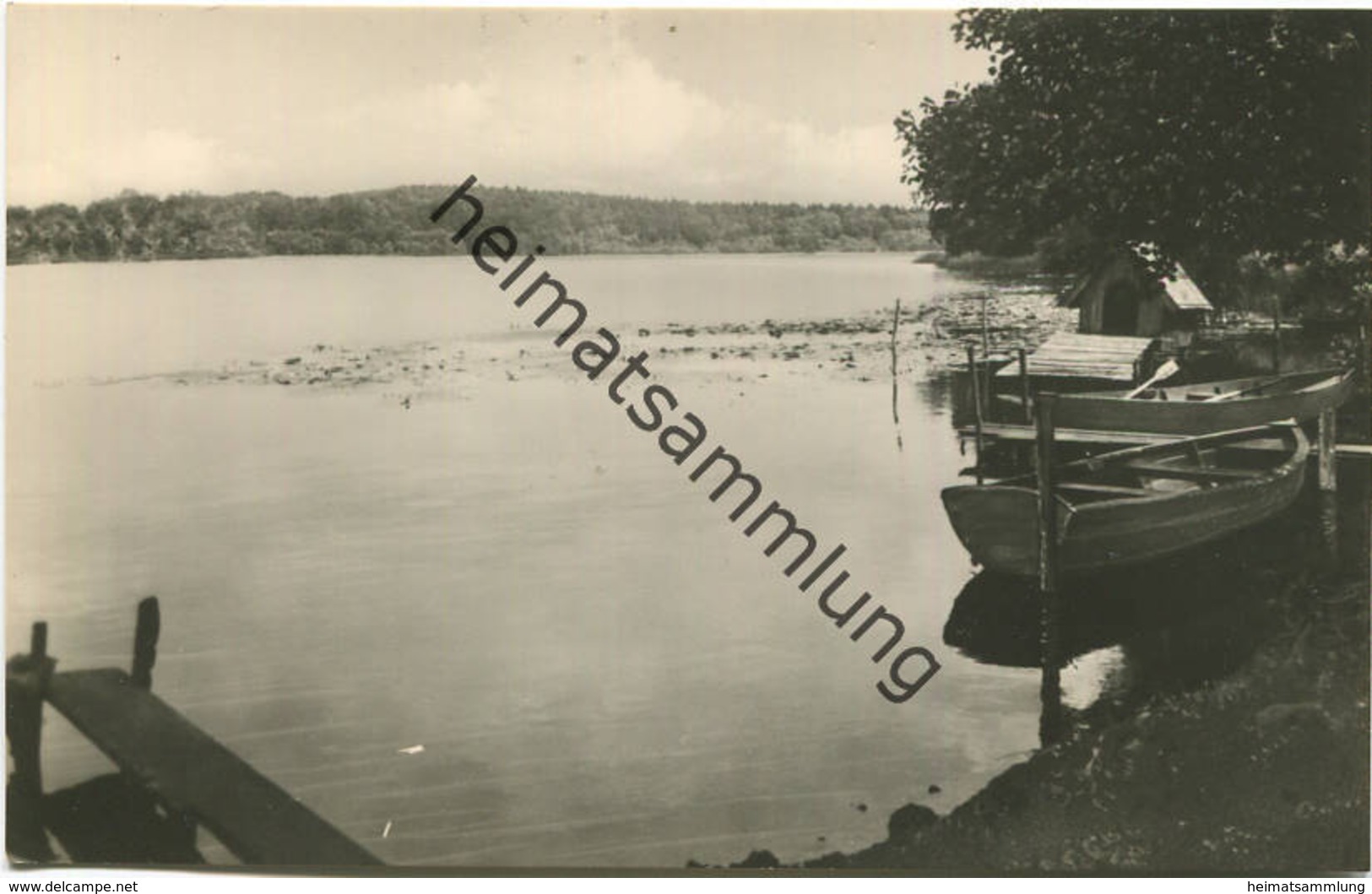 Neuglobsow - Am Dagow-See - Foto-AK 60er Jahre - VEB Bild Und Heimat Reichenbach - Neuglobsow