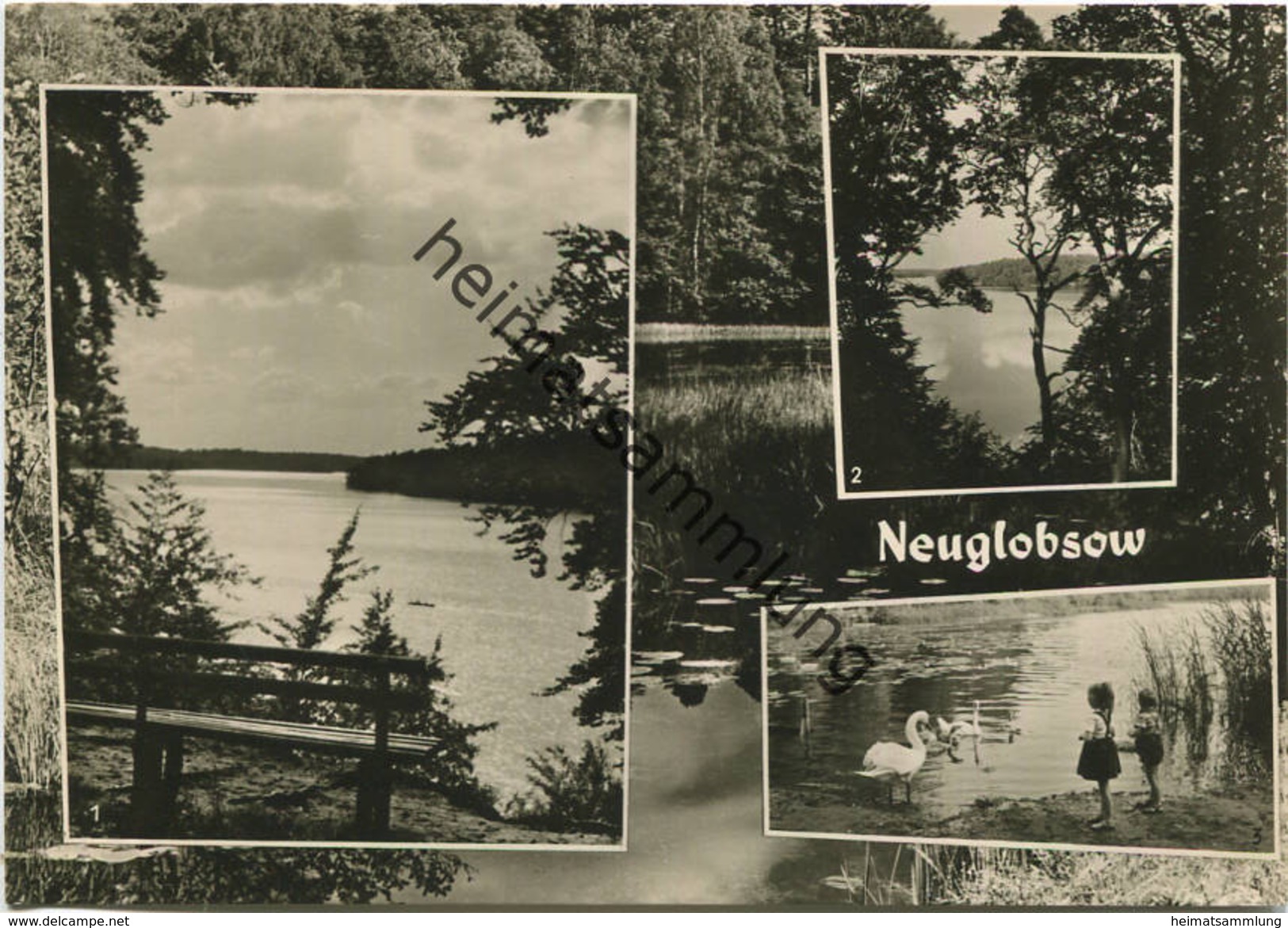 Neuglobsow - Foto-AK Grossformat 60er Jahre - Verlag Foto-Hanich Dresden - Neuglobsow