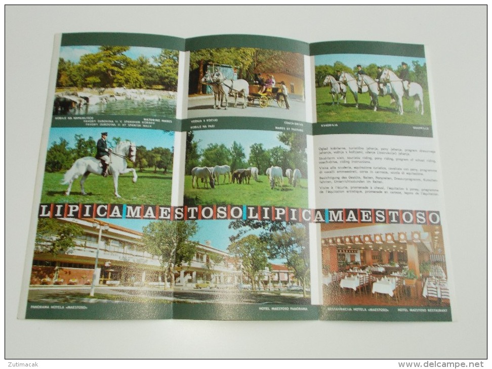 Slovenia Lipica Lipizzaner Horse Guide - Dépliants Touristiques