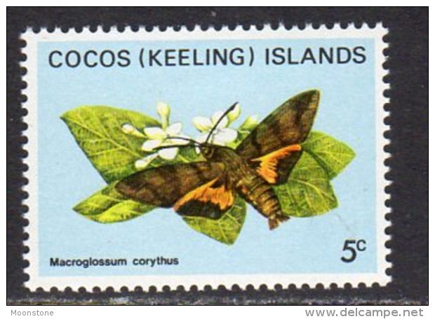 Cocos (Keeling) Islands 1982 Butterflies Definitives 5c Value, MNH (AU) - Cocos (Keeling) Islands