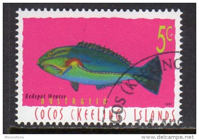 Cocos (Keeling) Islands 1995 Marine Life Definitive 5c Value, Used (AU) - Cocos (Keeling) Islands