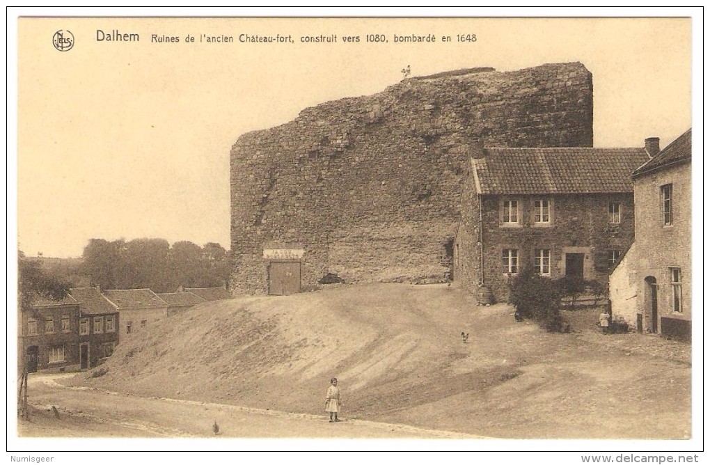 DALHEM  --  Ruines De L'ancien Château-fort Construit Vers 1080, Bombardé En 1648 - Dalhem
