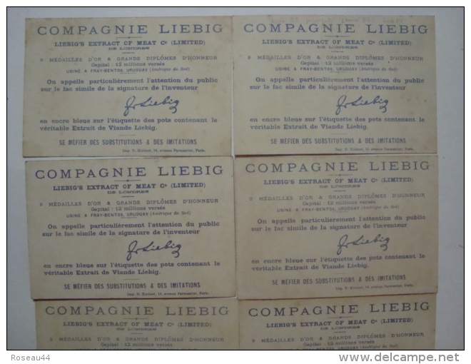 Liebig - Passeports Etrangers - Série S.92 -1878 - Série De 12 Chromos En TBE - (lot 23-1) RR - Liebig