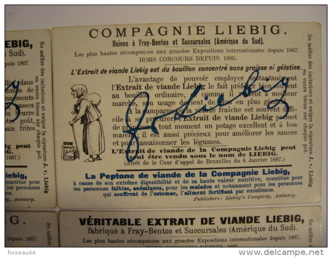 Liebig - PUZZLES (Où Est Caché...) - Série S.559 -1898 - Série De 6 Chromos En TBE - Ed. Belge - (lot 186-2) - Liebig