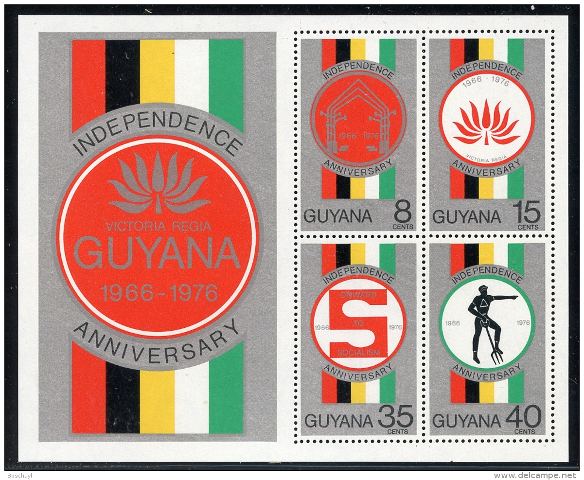 Guyana, 1976, Independence, Flag, MNH Sheet, Michel Block 7 - Guyane (1966-...)