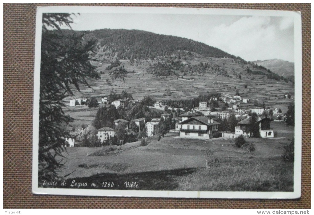 PONTE DI LEGNO  1953  - VILLE     -  BELLA - Altri & Non Classificati