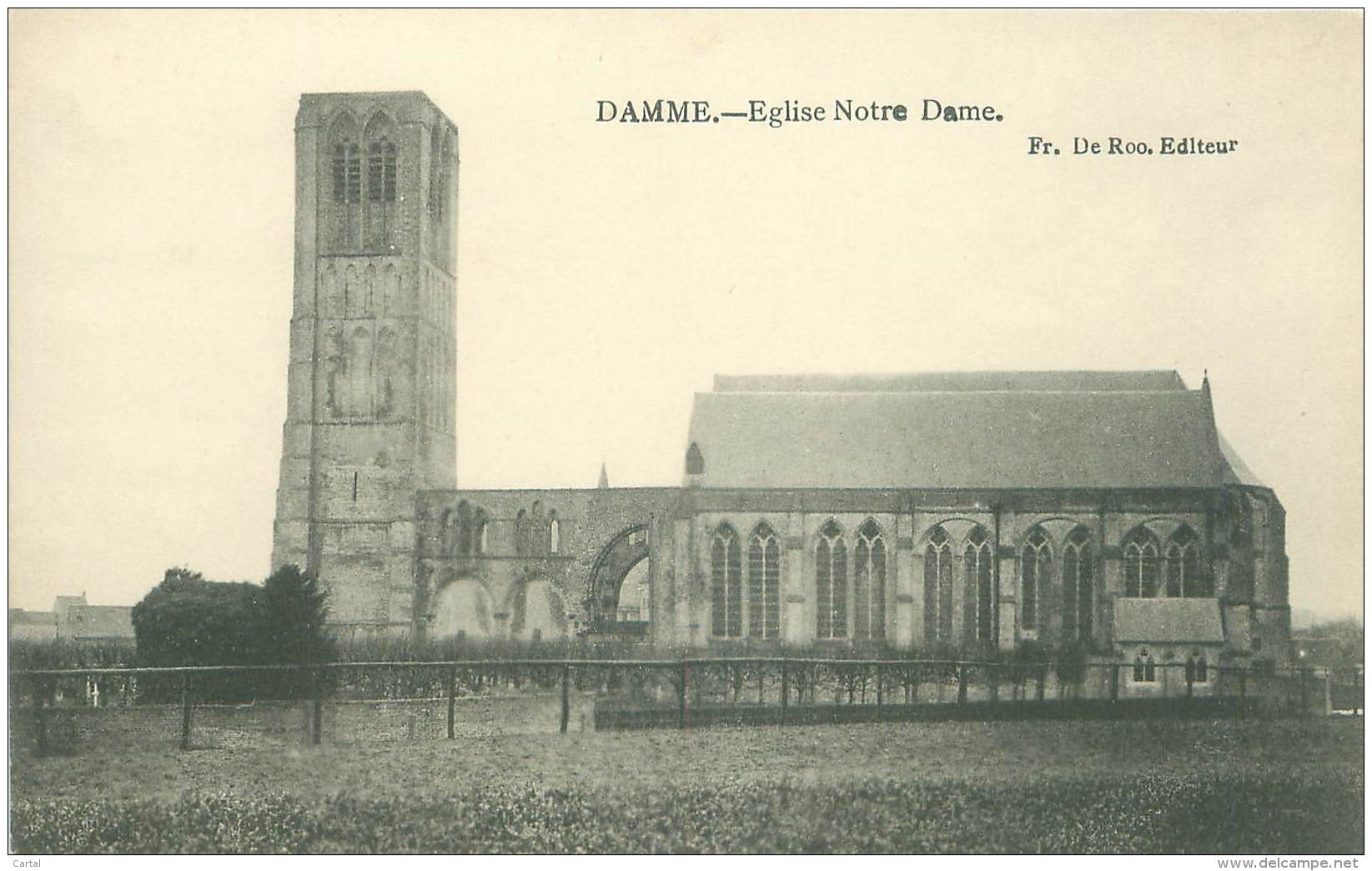 DAMME - Eglise Notre Dame - Damme