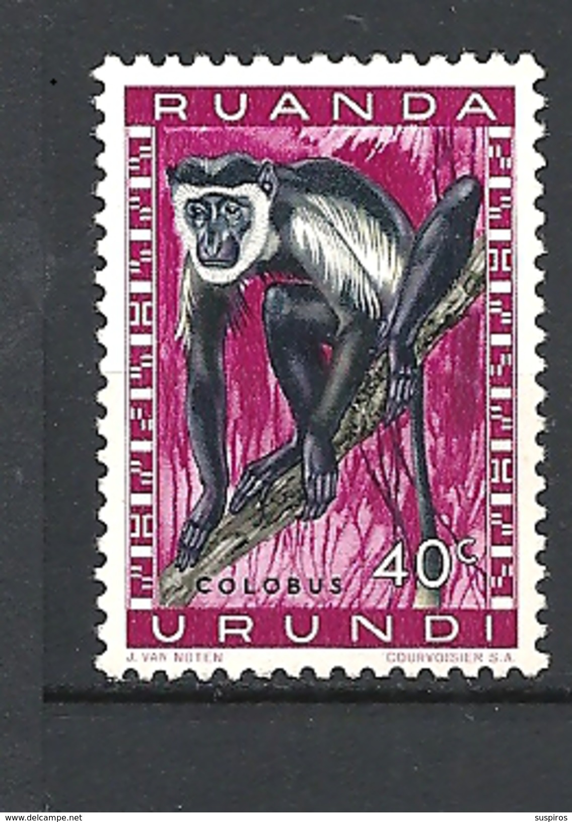 RUANDA URUNDI - 1959 Fauna Colobus Sp. MONKEYMNH - Usati