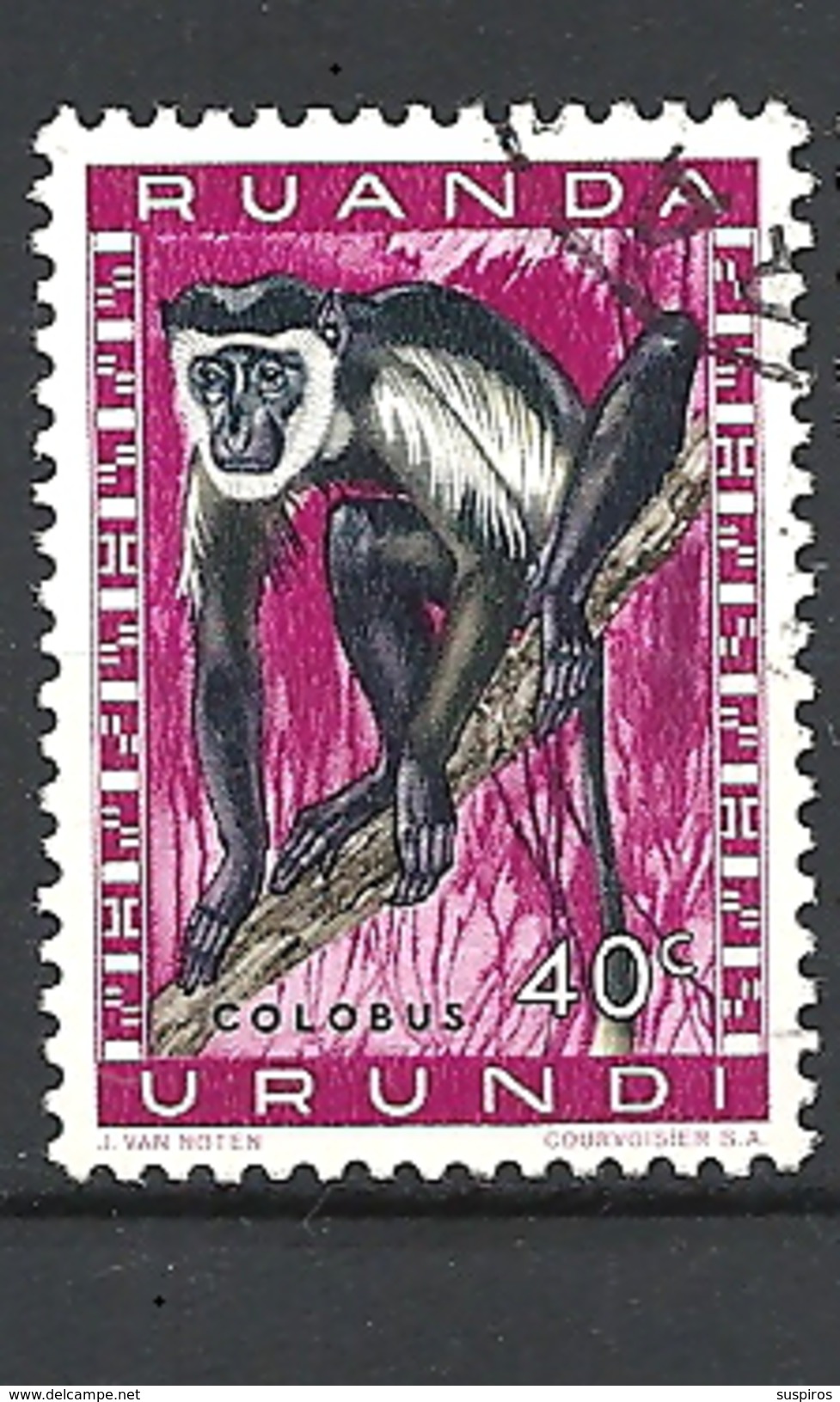 RUANDA URUNDI - 1959 Fauna Colobus Sp. MONKEYUSED - Usati