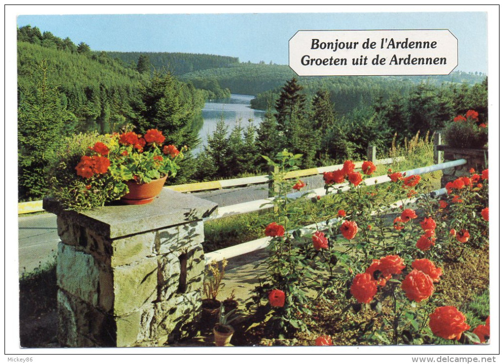 Belgique--PALISEUL--Maissin--1999--Bonjour De L´Ardenne (fleurs),cpm éd Thill SA - Paliseul